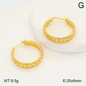 Σκουλαρίκια κρίκοι ατσάλι χρυσοί 25x6mm (E3393)